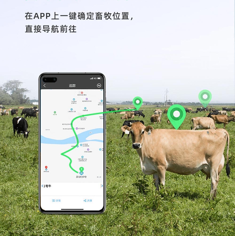 畜牧業牛羊馬定位器