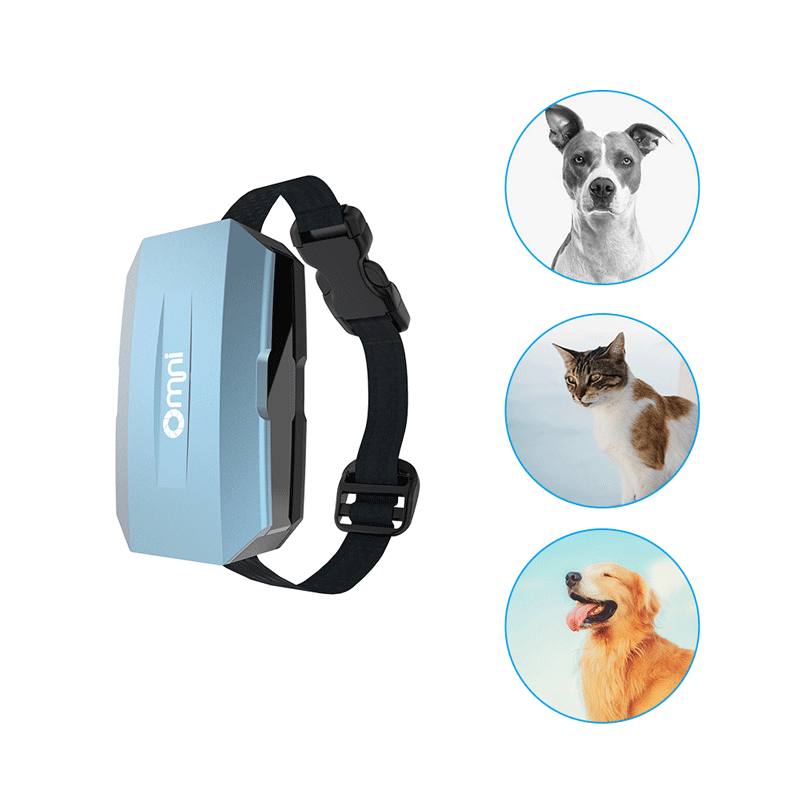 歐米智能寵物定位器可以解決哪些問(wèn)題？